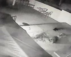 Footage Shows Mountain Lion Attacking Doberman And Grabbing Him By The Neck