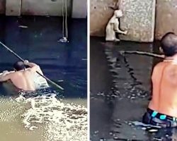 Despite Being A Poor Swimmer, Man Jumps Into Dirty Canal To Help Drowning Cat