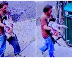 Man Carries French Bulldog To Garbage Can & Dumps Him In It On A Hot Day
