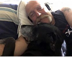 Man Looking For Stranger Who Consoled Him As He Cried At Vet After His Dog Died