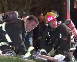 Small Fire Turns Into Disaster When Firefighters Find Dog Clinging To His Life