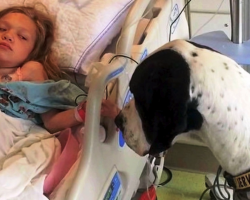 Girl With Rare Genetic Disease Was Wasting Away, Then She Locked Eyes With A Dog