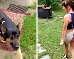 Dog Was Kept Out In Freezing Cold All His Life, Woman Shows Him Meaning Of Love