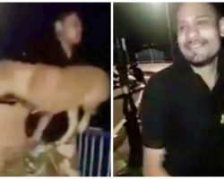 Man Picks Up Stray Dog On Bridge, Tosses Him Into Cold Lake, & Smiles For Camera