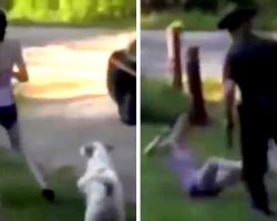 Officer Draws Gun On Woman’s Dog, Woman Jumps In Front Of Dog To Save Him