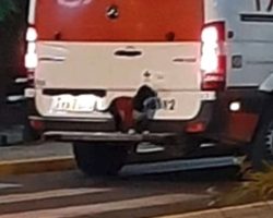 Loyal Pup Jumps On Back Of Ambulance To Go With Owner To The Hospital