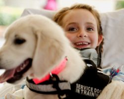 Puppy Makes Little Girl Smile Again After Multi-Vehicle Car Crash Paralyzes Her