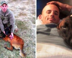 Soldier Suffers From PTSD Upon Return, Only His Old Military Dog Can Save Him