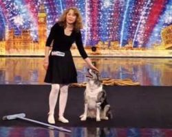 She Brings Her Rescue Dog And A Broom On Stage, Proceeds To Steal The Show