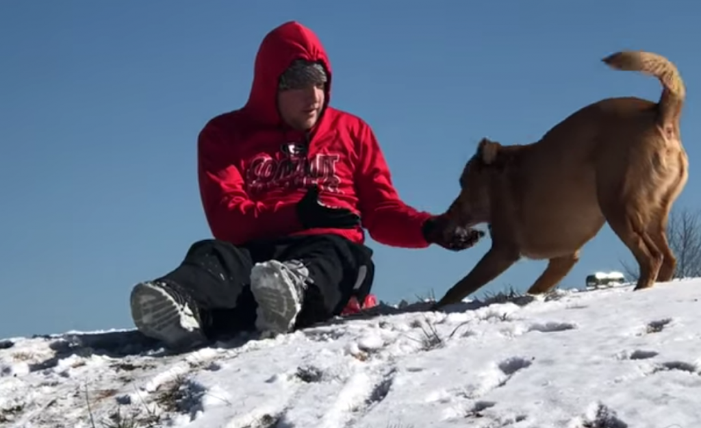 Dog Wants To Sled But Is Hesitant To Get On, Proceeds To Jump On Dad’s