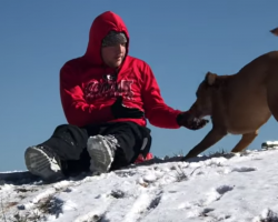 Dog Wants To Sled But Is Hesitant To Get On, Proceeds To Jump On Dad’s Back Instead