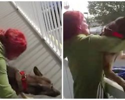 Deranged Woman Gets Mad & Throws Her Helpless Dog Off Second Floor Balcony