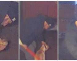 Dog Attempts To Run Away From Angry Man But Is Caught & Beaten With Broomstick