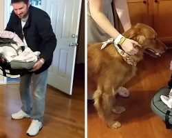 Dad Places Newborn Girl On Floor, Dog “Loses His Mind” And Goes Right For Her
