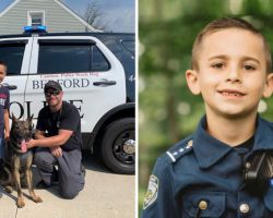 10-Year-Old, Ohio Boy Raises More Than $315,000 To Provide Bulletproof Vests For Police Dogs
