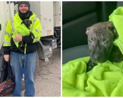 Garbage Truck Driver On Route Finds “Moving Backpack” Thrown To Side Of Road