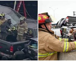 Firefighters Pull Dogs From The Wreckage After Deadly Pileup On Interstate