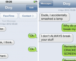 25 Hilarious Texts Your Dog Would Have Sent You If It Had A Phone