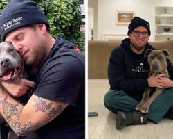 Actor Jonah Hill Expresses His Joy After Adopting A 3-Year-Old Doggy, Gets Praised by 336K People On Instagram