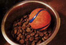 25 Genius Hacks All Dog Owners Need To Know