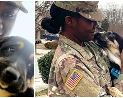 Soldier Reunites With Puppy She Saved From Dog-Catchers While Overseas