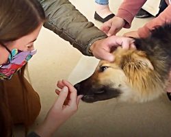 Homeless Puppy Who Never Felt Love Is Pleased To Meet His New Mom