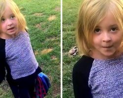 Little Girl Becomes Her Dog’s Attorney And Defends Him Against Mom’s Accusation