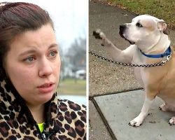 Woman Searches For Her Stolen Dog For 8 Years, Then She Sees A Photo Online