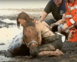 Woman Held The Horse’s Head Above The Sand So He Could Breathe As His Body Sank Into Quicksand