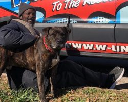 Homeless Man Saves All 16 Animals Inside Shelter That Caught Fire