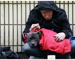 Homeless Man Pleads With Shelter To Get His Dog A Forever Home Before He Dies