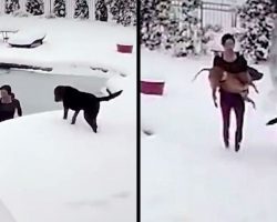 Woman Jumps Into Frozen Pool To Save Her Dog But The Dog Had Already Gone Limp
