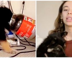 TikTok Superstar’s Dog Gets Head Stuck In Jar & She Laughs Instead Of Helping
