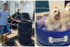 Man Converts Tires In Trash To Cozy Dog Beds – Upcycling Helps Thousands