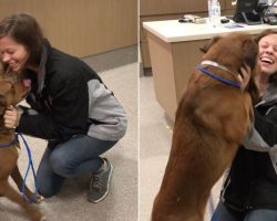 Woman Reunited With Dog Lost For More Than Two Years