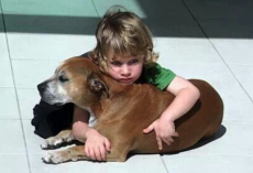 A Dog’s Purpose According To A 6 Year Old