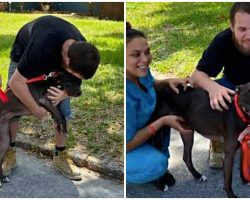 Man Tearfully Reunites With Dog He Had To Surrender When He Became Homeless