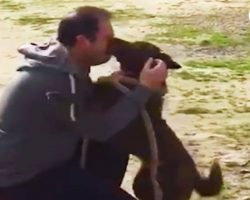 Dog Reunited with Owner Slowly Recognizes Dad After Years in Shelter