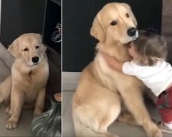 Little Girl Gives Her Dog A Big Hug When She Spots Her Pup Looking Sad As She Is Leaving For School