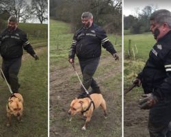 Angry Dog-Walker Covered Head-To-Toe In Mud Stumbles Down Path After Falling Over Twice in a Bog. HILARIOUS!