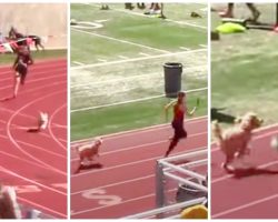 Speedy Little Dog Crashes Track Meet & Tries To Beat Lead Runner To Finish Line