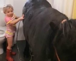 Little Girl Takes Pony Into the Bathroom for a Shower