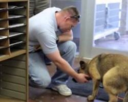 Lost Dog Dora Reunited with Family After Seven Months! Absolutely Heartwarming!