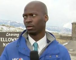 Reporter’s Hilarious Reaction To Approaching Bison Goes Viral