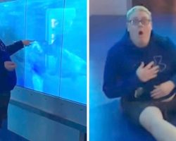 Man Curiously Taps On Aquarium Shark Display, Ends Up Getting Fright Of His Life
