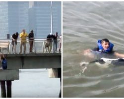 Selfless Man Leaves His Own Birthday Party, Jumps Off Pier To Save Drowning Dog