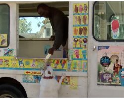 Smart Bulldog Knows Ice Cream Truck Music – Now He’s The Guy’s Best Customer