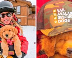 Dog Has Her First Work Day As A Ski Patrol Dog, Easily Becomes The New Favorite