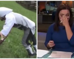 News Anchor Can’t Make It Through “Goat Man” Story Without Cracking Up