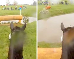 Exciting Helmet Cam Footage Captures The Thrill And Challenges Of A Horse Race